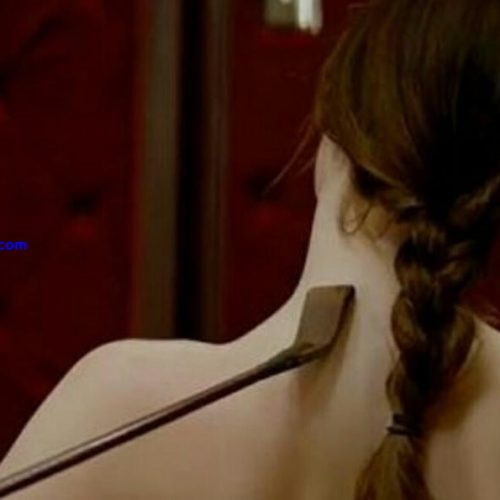 找个斯慕圈同好为什么这么难